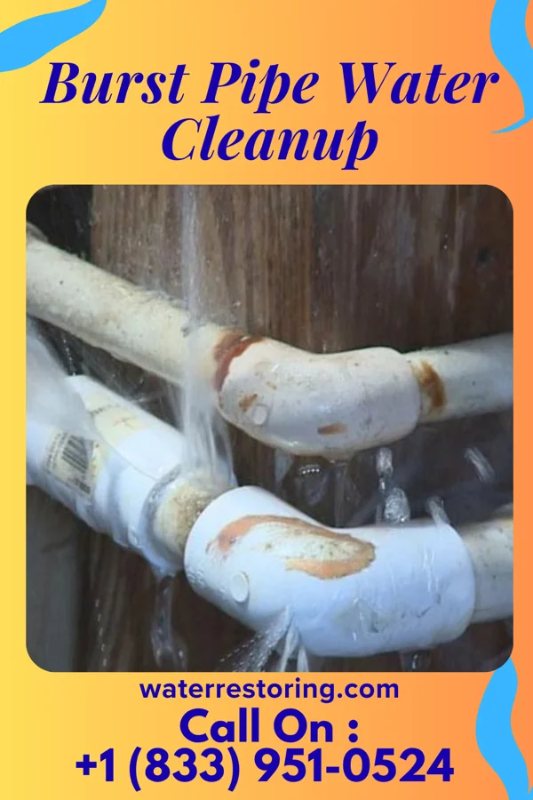 Burst Pipe Water Cleanup in Buckner, AR