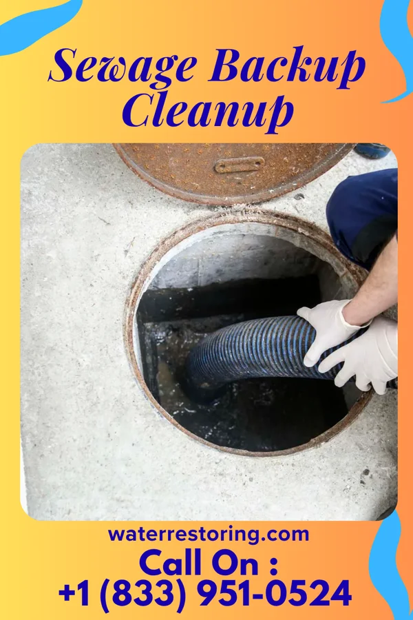 Sewage Backup Cleanup in Buckner, AR